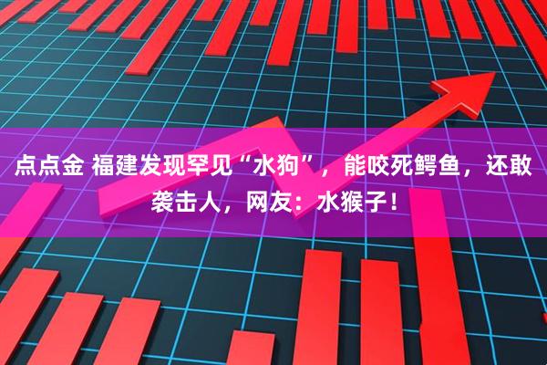点点金 福建发现罕见“水狗”,能咬死鳄鱼,还敢袭击人,网友:水猴子!